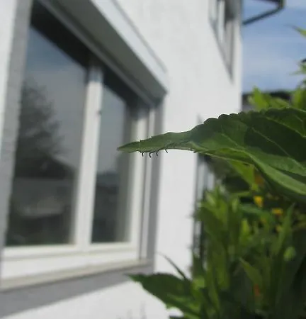 Enjoyit-ws Daire Velden am Wörthersee