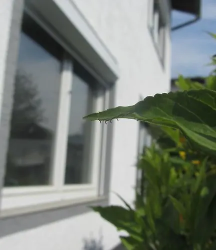 Enjoyit-ws Apartamento Velden am Wörthersee